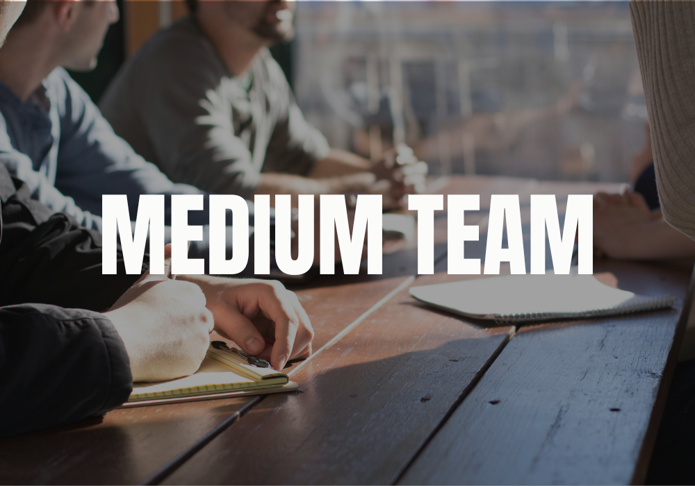 Medium Team Annual Membership